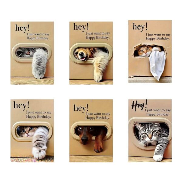 funny cat birthday cards with 6 cute peeking pet designs, perfect for cat lovers