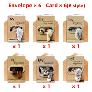 funny cat birthday cards with envelopes, 6 designs included