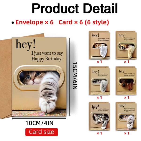 Funny cat birthday cards product detail, size 10x15cm, 6 designs with envelopes included